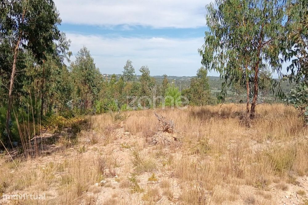 Terreno em Tonda com 2250 m2 — Tondela E Nandufe, Viseu