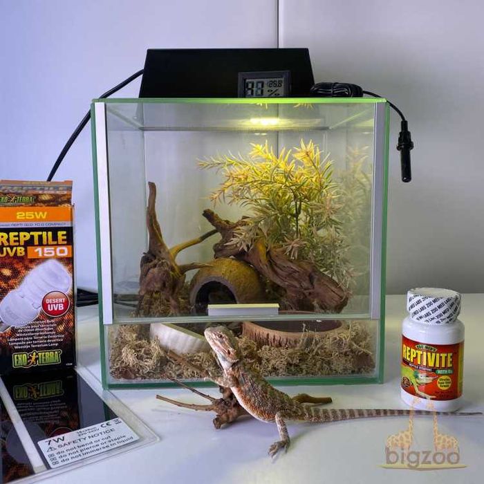 Тераріуми/акваріуми та обладнання, тераріуми для рептилій, амфібій