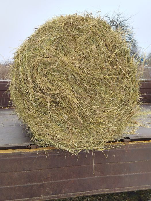Продам сіно солому в тюках.