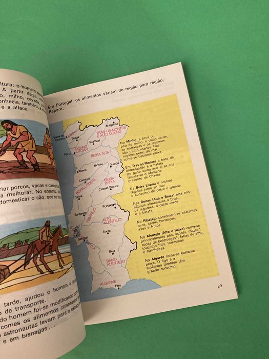 Livro Escola Primária Vivo e Observo Meio Físico e Social 3ª Classe Anos 80