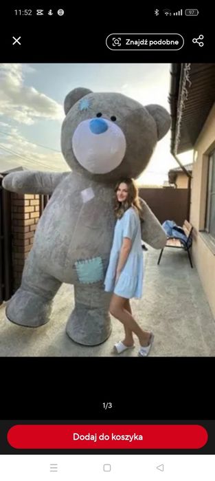 Kostium misia dmuchany