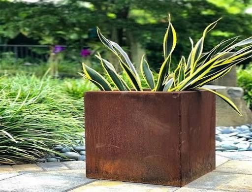 Vasos em aço korten - com plantas