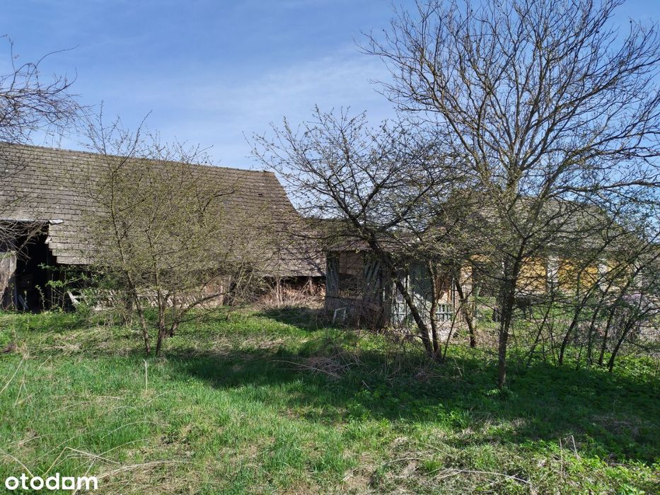 Dom – Polanka Horyniecka - Widok 4