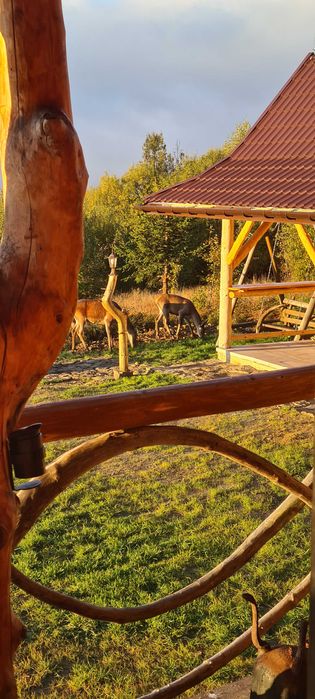 Domek do wynajęcia, bacówka w Gorcach z mega widokiem.