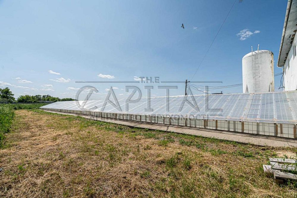 Продажа фермы, с. Русанов, Броварской р-н