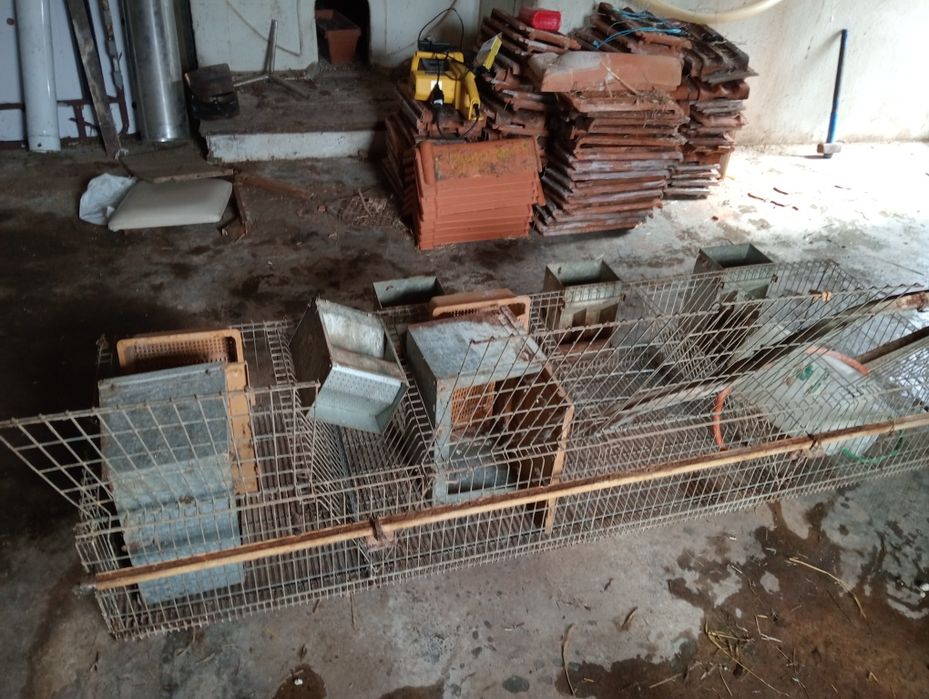 4-Compartment Rabbit Hutch479892474451077122