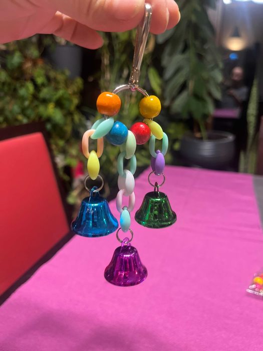 Kompletny zestaw XXL dla papugi, zabawki, hamak, wanienka i więcej!