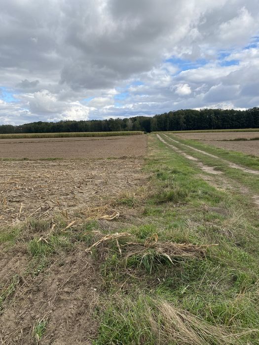 Działka 16 zł/metr asfalt, prąd, wodociąg