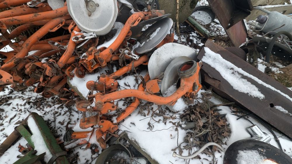 Redlice Talerzowe amazone d8