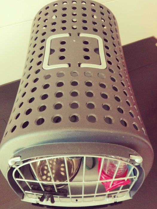 Caixa para transporte de animais + extras