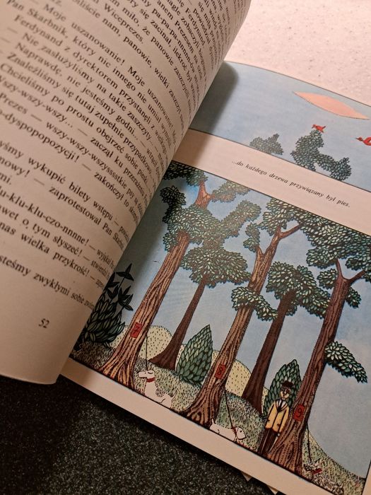 Ksiazka Ferdynand wspanialy Kern + GRATIS