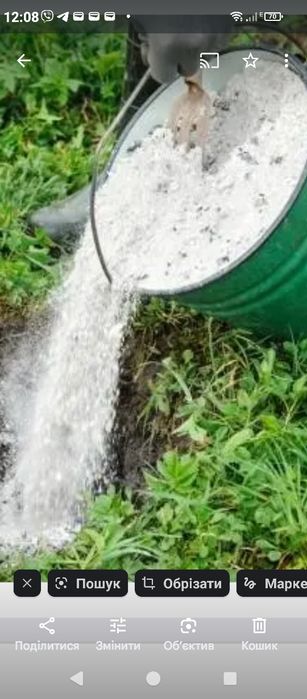 Зола деревна сіяна