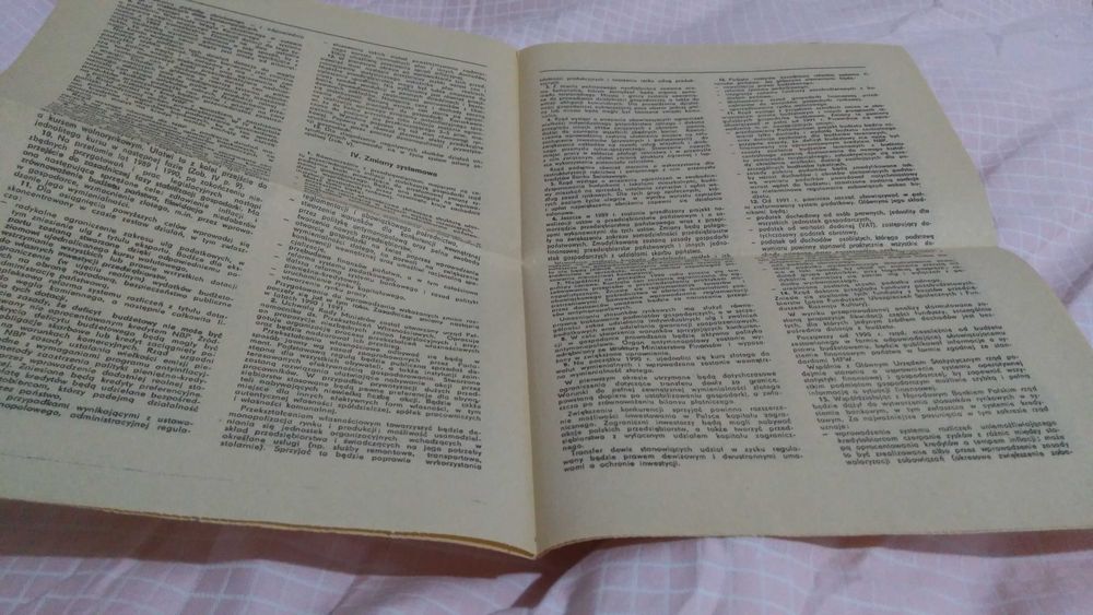 Program gospodarczy 1989 unikat ekonomia nauka