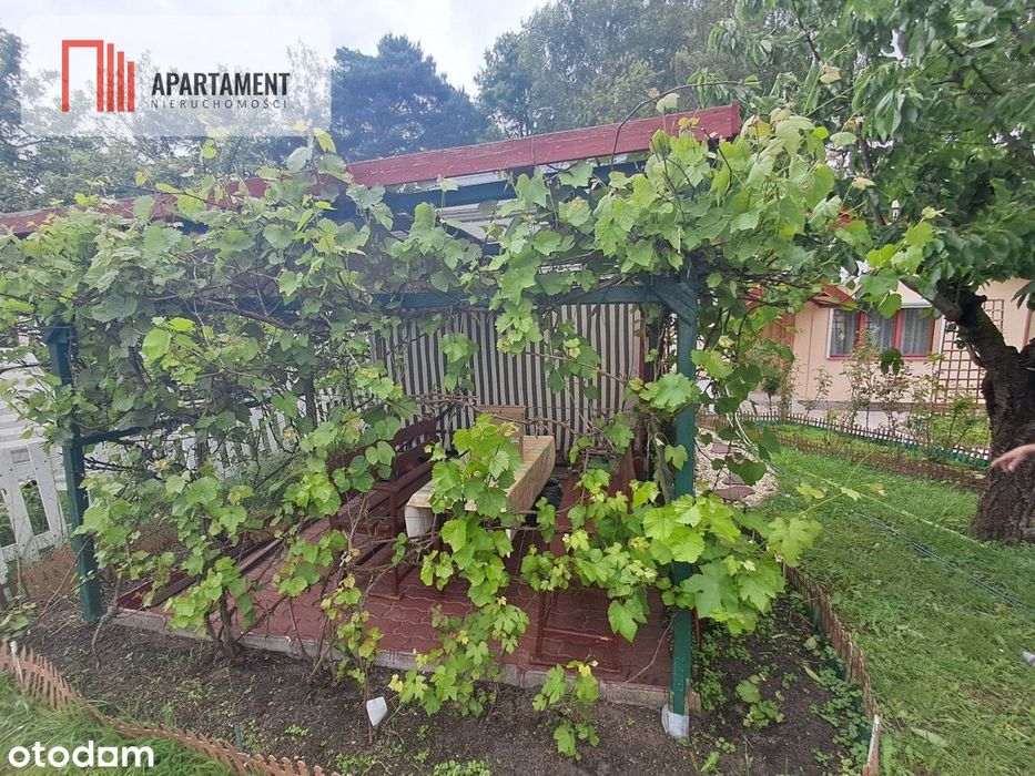 * Działka Rod Żurczyn
