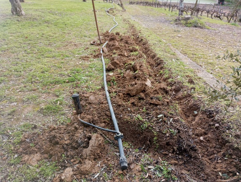 Jardineiro particular limpezas manutenção jardins terrenos . Pintura