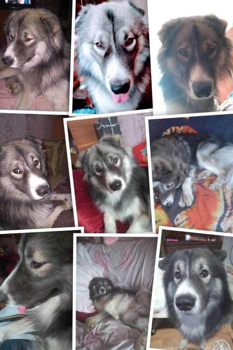 Бесплатно  вязка