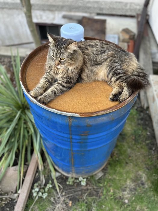 Beczka 200l z piaskiem