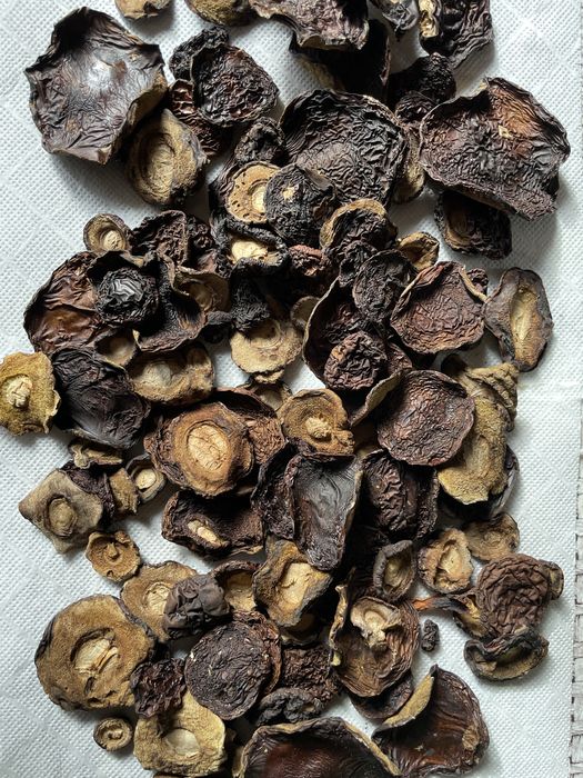 Grzyby suszone - kapelusze