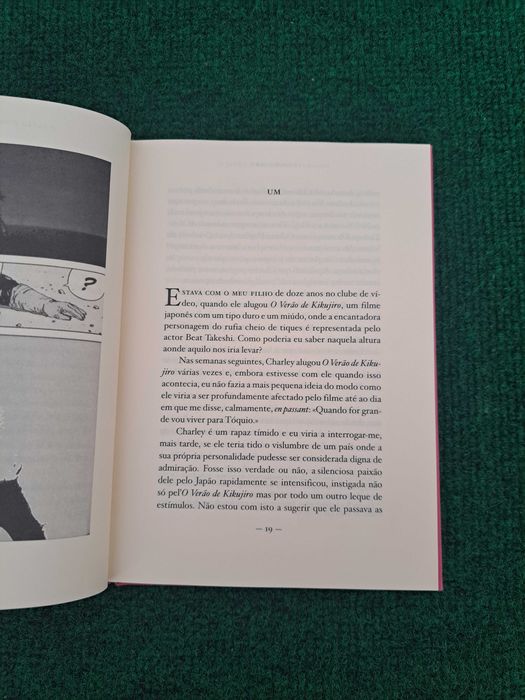 O Japão é um lugar estranho - Peter Carey