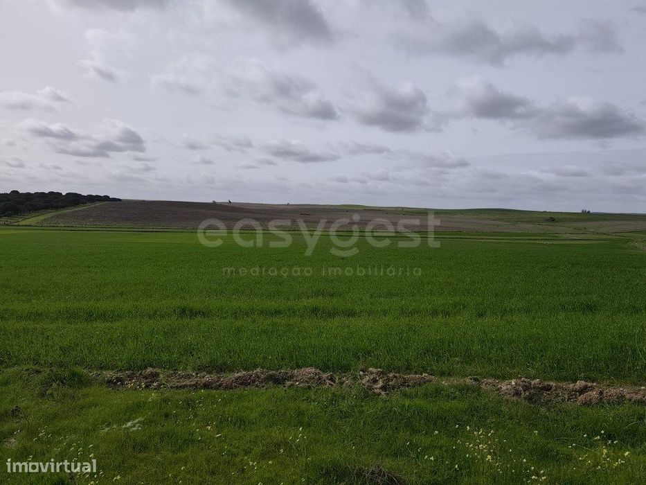 Terreno Rústico com área total de 10, 0375 ha, localizado na fregue...