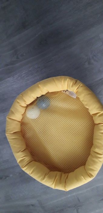 Leãozinho da Imaginarium oferta rolo