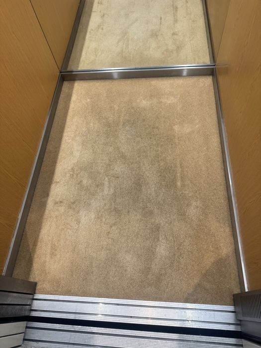 Limpeza de Sofás/Tapetes/Cadeiras/Estofos