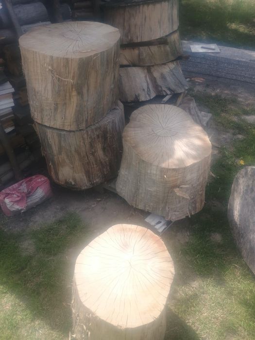 Sprzedam Pieńki Jesionowe