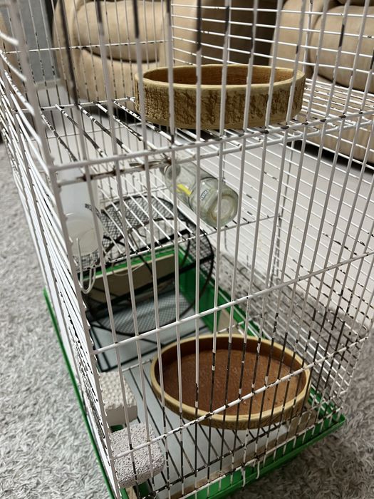 Большая клетка для грызонов, клетка для грызуна.