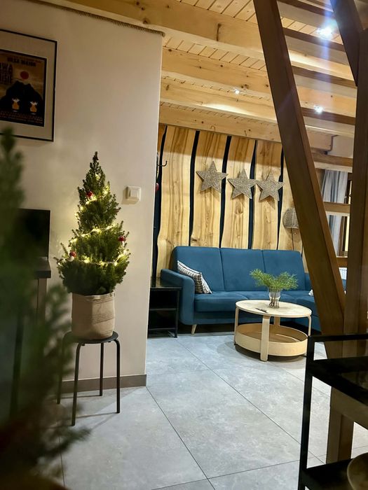 Domki w Bieszczadach - Ferie zimowe