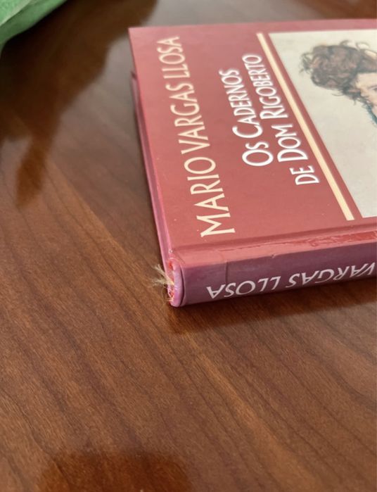 Os Cadernos de Dom Rigoberto de Mario Vargas LLosa