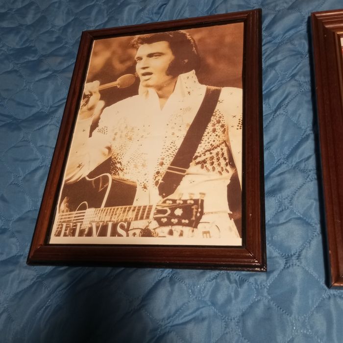 5 quadros decorativos