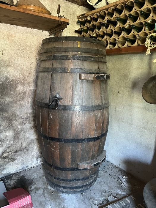 Bar em forma de Pipa