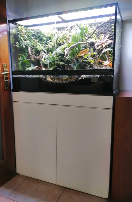 Terrário Exo Terra com móvel