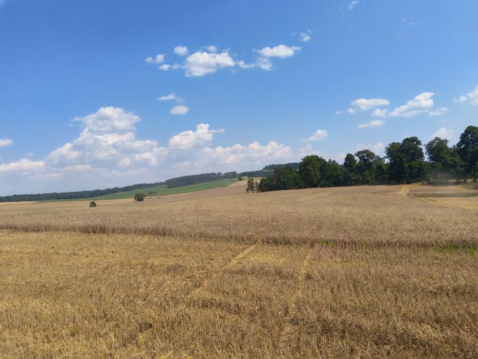 Sprzedam Działki Budowlane - Widok 4