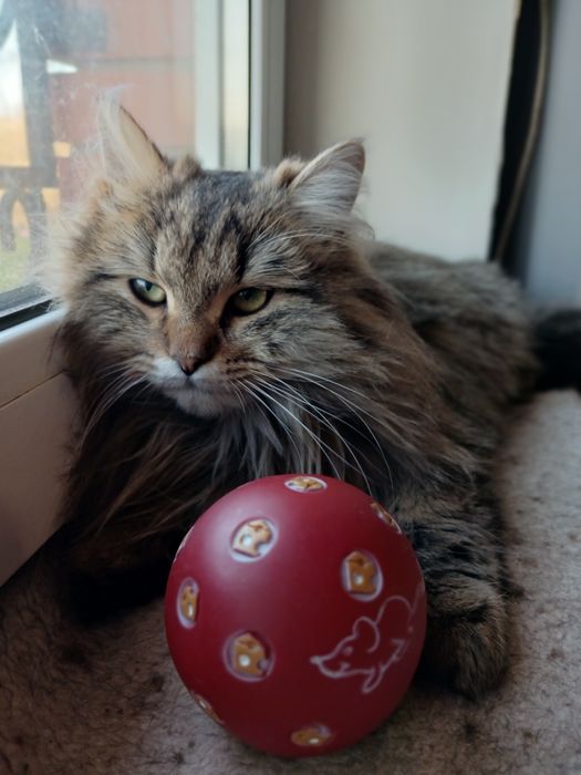 Девочка Джина 8 месяцев