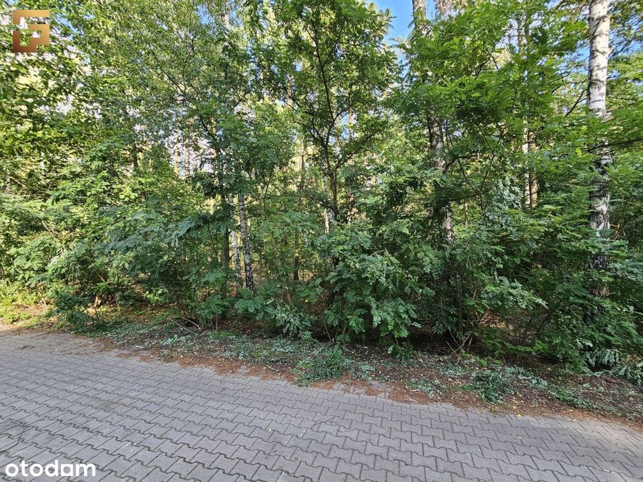 Działka budowlana / 1500 m² / las / Skm - Widok 3