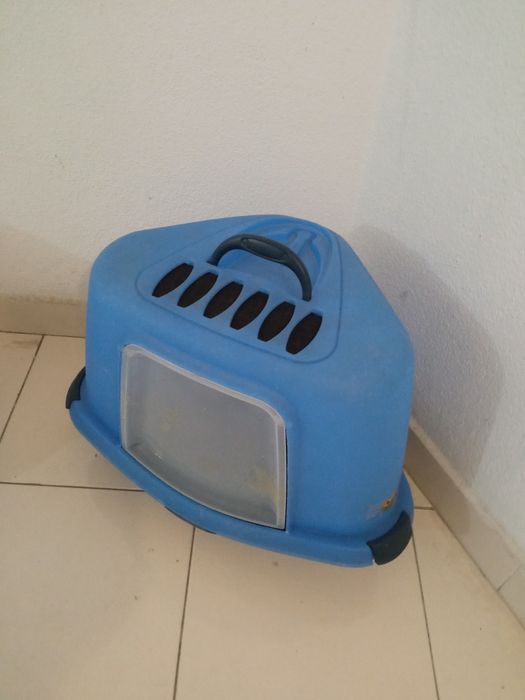 WC de canto. para   gatinhos