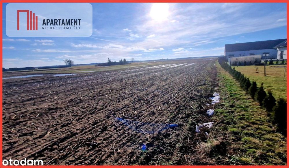 Tylko U Nas! Ostatnia tak tania działka w Sępólnie