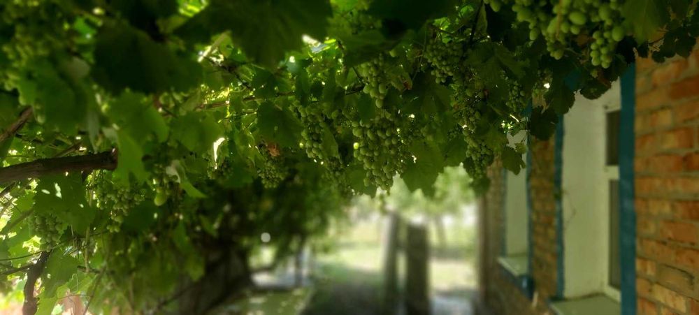 Продам будинок в м. Апостолове