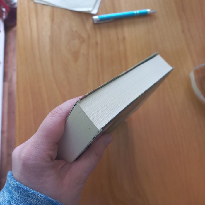 Żółte ślepia  Marcin Mortka