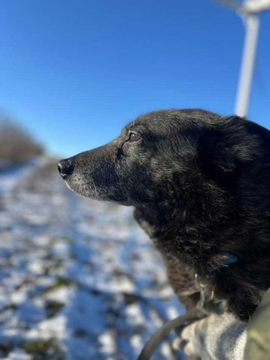 Adopcja wiem jak to jest gdy nie ma się nic