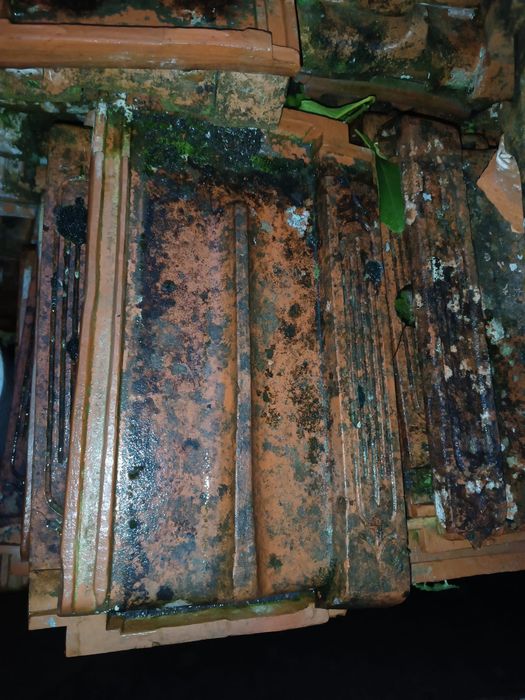 Telha Marselha usada - para dar