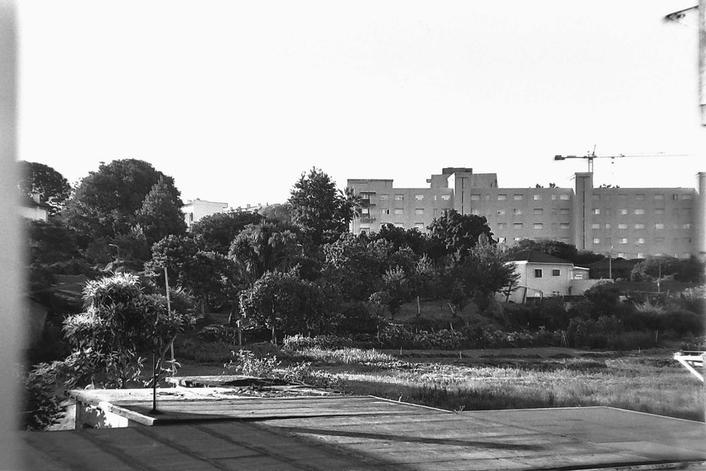 Ilford Pan F 50 Plus - 5 rolos - Reservado