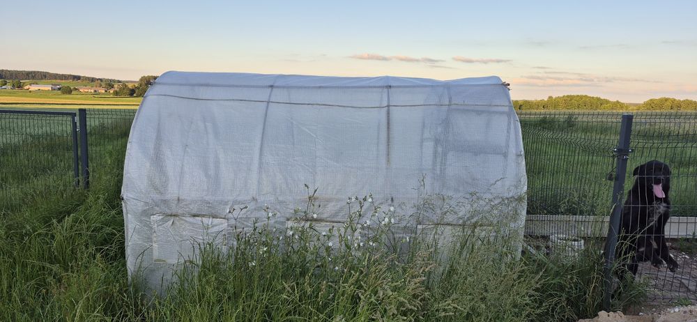 Sprzedam foliak 2 x 3 m