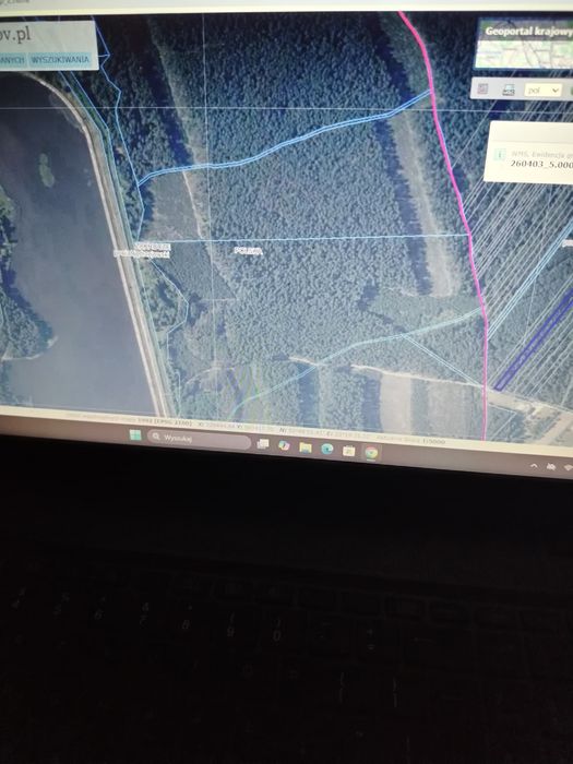 Sprzedam las 1 ha sosnowy