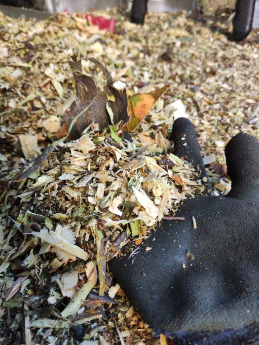 Usługi rębakiem spalinowym Wycinka Drzew