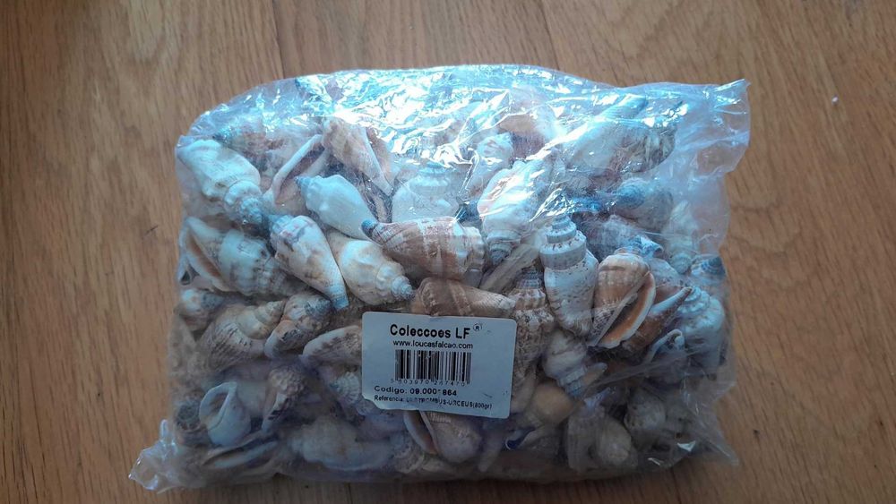 Búzios mini decoração