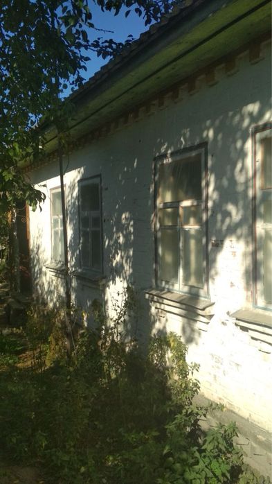 Продається будинок з великою ділянкою в мальовничому селі Чернігівщини