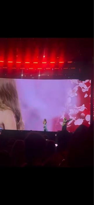 Róża koncert SANAH ORGINAL