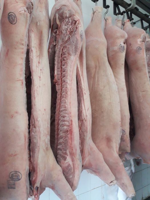 Продам мясо яловичини та свинини, конина, баранина